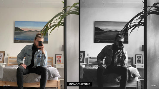 Monochrome - iPhone Pro Lightroom preset before and after
