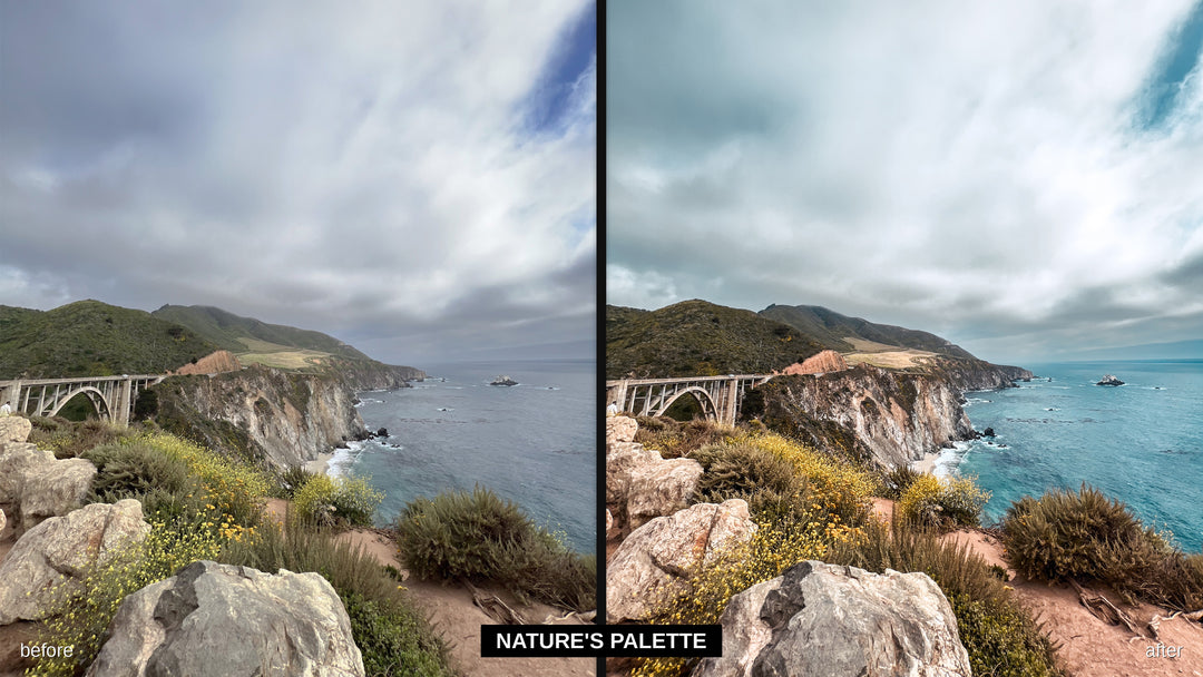 Nature's Palette - iPhone Pro Lightroom preset before and after