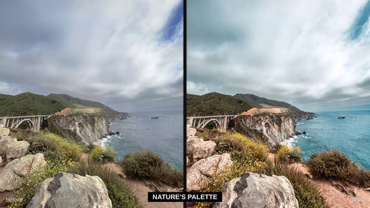 Nature's Palette - iPhone Pro Lightroom preset before and after