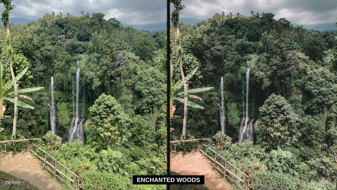 Enchanted Woods - iPhone Pro Lightroom preset before and after